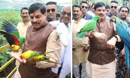 Indore : मुख्यमंत्री मोहन यादव ने चिड़ियाघर का दौरा किया Indore : मुख्यमंत्री मोहन यादव ने चिड़ियाघर का दौरा किया