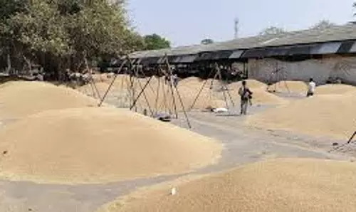 Kaithal: गेट पास अटकने पर धान खरीद बंद, किसानों का रोष