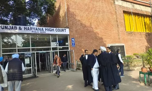 Haryana :  उच्च न्यायालय ने वरिष्ठ कर्मचारी के लिए वेतन समानता का आदेश दिया