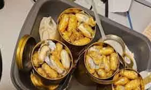 चेन्नई हवाई अड्डे पर कोकीन की भारी खेप बरामद