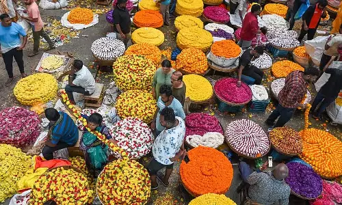 Karnataka : दशहरा उत्सव के लिए जमकर खरीदारी हो रही है Karnataka : दशहरा उत्सव के लिए जमकर खरीदारी हो रही है