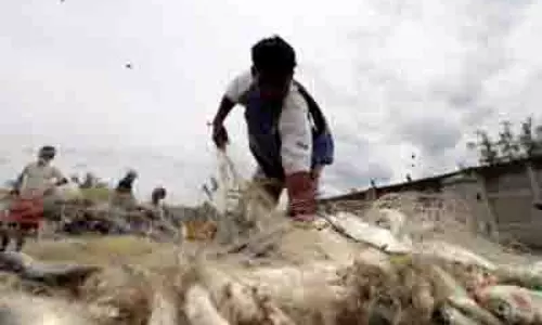 आंध्र के मत्स्य पालन व अन्य क्षेत्रों को GST 2.0 से बड़ा फायदा मिलने की उम्मीद आंध्र के मत्स्य पालन व अन्य क्षेत्रों को GST 2.0 से बड़ा फायदा मिलने की उम्मीद