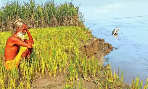 Farrukhabad: बारिश आई पर किसानों की चिंता कम नहीं हुई Farrukhabad: बारिश आई पर किसानों की चिंता कम नहीं हुई