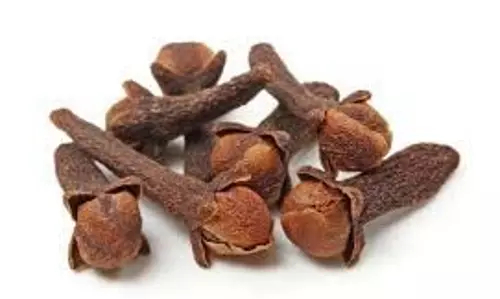 लौंग के शीर्ष स्वास्थ्य लाभ जो आपको जानने चाहिए लौंग के शीर्ष स्वास्थ्य लाभ जो आपको जानने चाहिए