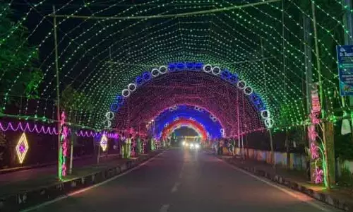 दुर्गा पूजा: बिदानासी का 3D सुरंग द्वार भारी भीड़ में आकर्षण केंद्र दुर्गा पूजा: बिदानासी का 3D सुरंग द्वार भारी भीड़ में आकर्षण केंद्र