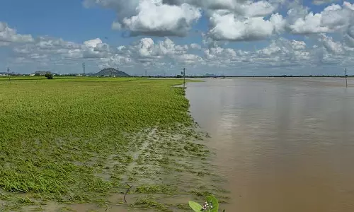 Karnataka : भीमा नदी में बाढ़