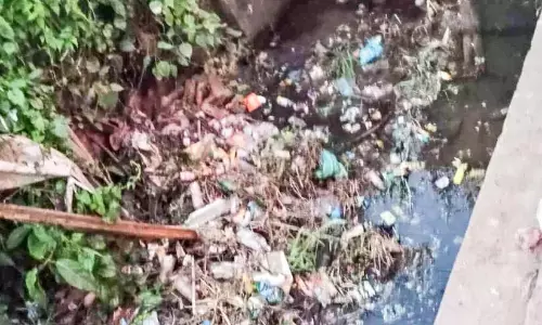 Kerala : तिरुनावाया में लिफ्ट सिंचाई नहरें बीमारी का कारण बन रही