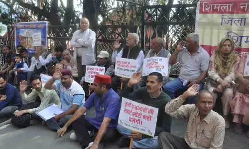 Shimla में भय का माहौल, निवासियों ने आवारा कुत्तों और बंदरों से निपटने के लिए ठोस नीति की मांग की Shimla में भय का माहौल, निवासियों ने आवारा कुत्तों और बंदरों से निपटने के लिए ठोस नीति की मांग की