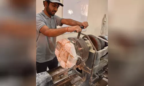 SAPTI गुजरात में पत्थर मूर्तिकला कौशल विकास को बढ़ावा दे रहा