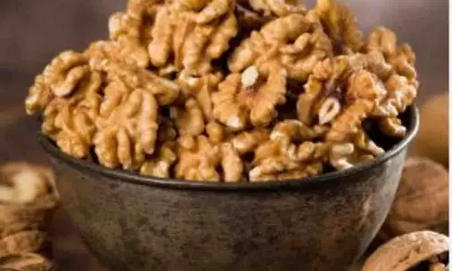 सेहत के लिए वरदान: जानिए दिन में कब खाएं अखरोट सेहत के लिए वरदान: जानिए दिन में कब खाएं अखरोट