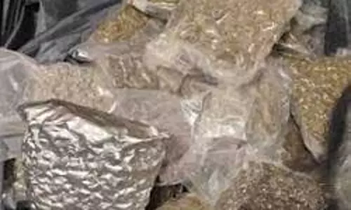 खूंटी में 1.40 करोड़ का नशीला पदार्थ जब्त, एक गिरफ्तार