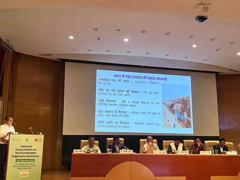 गन्ने पर राष्ट्रीय परामर्श में विज्ञान और कृषि वास्तविकताओं का अंतर उजागर गन्ने पर राष्ट्रीय परामर्श में विज्ञान और कृषि वास्तविकताओं का अंतर उजागर