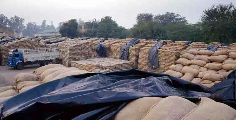 Punjab: फर्जी बिल बनाने वाले 5 पंसअप अधिकारी निलंबित Punjab: फर्जी बिल बनाने वाले 5 पंसअप अधिकारी निलंबित