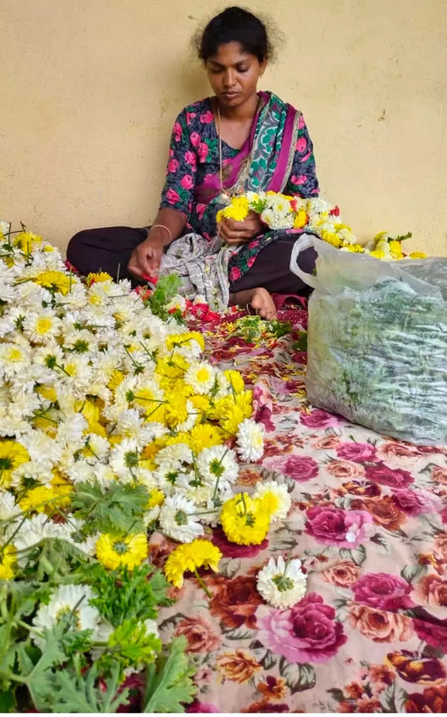 फूलों की खेती: वनजाक्षी सफलता की राह पर फूलों की खेती: वनजाक्षी सफलता की राह पर