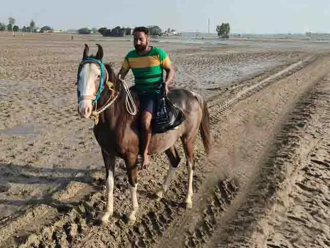 Punjab: बाढ़ प्रभावित मांड में सेवा करता हुआ सुंदर घोड़ा Punjab: बाढ़ प्रभावित मांड में सेवा करता हुआ सुंदर घोड़ा