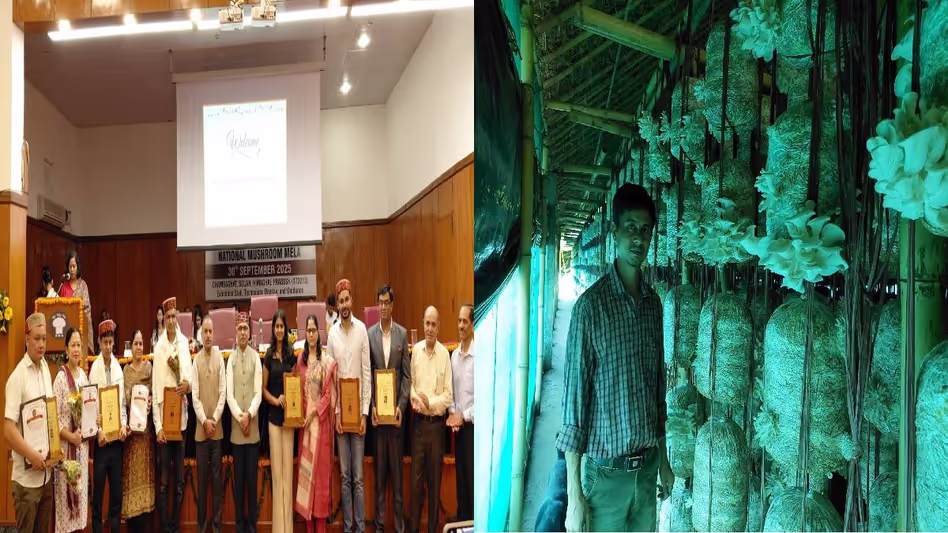 Assam के मशरूम किसान को प्रगतिशील खेती के लिए राष्ट्रीय सम्मान मिला Assam के मशरूम किसान को प्रगतिशील खेती के लिए राष्ट्रीय सम्मान मिला