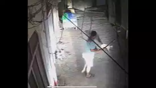 Jalandhar: खिलाड़ी ने सड़क पर कुत्ते को पीट-पीट कर मारा Jalandhar: खिलाड़ी ने सड़क पर कुत्ते को पीट-पीट कर मारा
