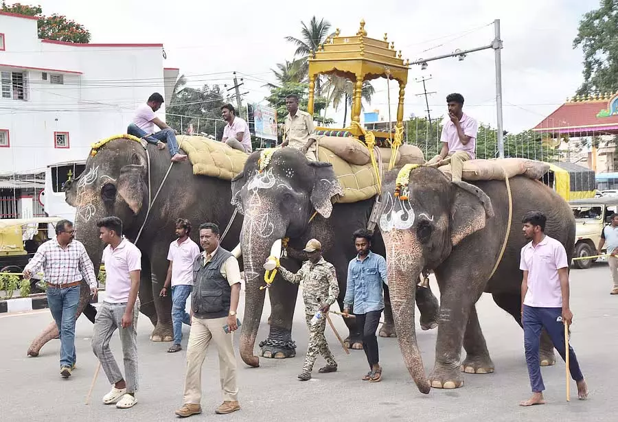 Tumkur : एक विशाल यात्रा के लिए तैयार शहर Tumkur : एक विशाल यात्रा के लिए तैयार शहर