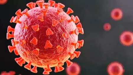 बच्चों में दोबारा कोविड संक्रमण से लॉन्ग कोविड का खतरा दोगुना बच्चों में दोबारा कोविड संक्रमण से लॉन्ग कोविड का खतरा दोगुना
