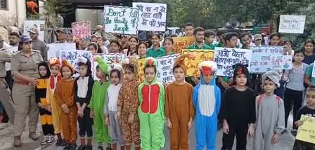 रामनगर : बच्चों ने टाइगर-भालू बनकर दिया वन्यजीव बचाओ का संदेश रामनगर : बच्चों ने टाइगर-भालू बनकर दिया वन्यजीव बचाओ का संदेश