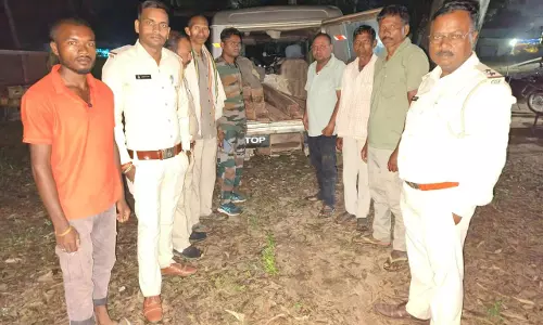 साल की लकड़ी की तस्करी, वन विभाग ने की कार्रवाई