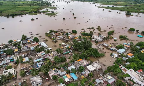 पुणे, सोलापुर, बीड, अहिल्यानगर में लगातार बारिश से फसलों को भारी नुकसान पुणे, सोलापुर, बीड, अहिल्यानगर में लगातार बारिश से फसलों को भारी नुकसान