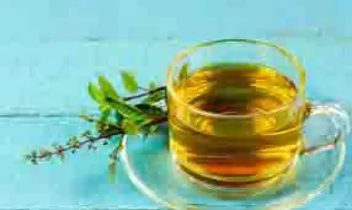 Tulsi water: जानिए तुलसी के पानी के हैं कई फायदे