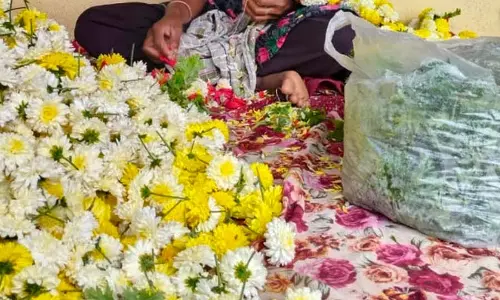 फूलों की खेती: वनजाक्षी सफलता की राह पर
