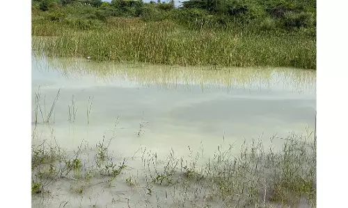 Gauribidanur : उत्तरी पिनाकिनी में रासायनिक कचरा Gauribidanur : उत्तरी पिनाकिनी में रासायनिक कचरा