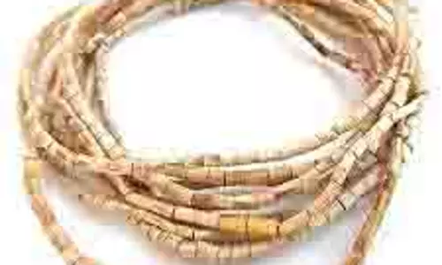 Tulsi Mala Rules: तुलसी की माला पहनकर क्या-क्या नहीं करना चाहिए Tulsi Mala Rules: तुलसी की माला पहनकर क्या-क्या नहीं करना चाहिए