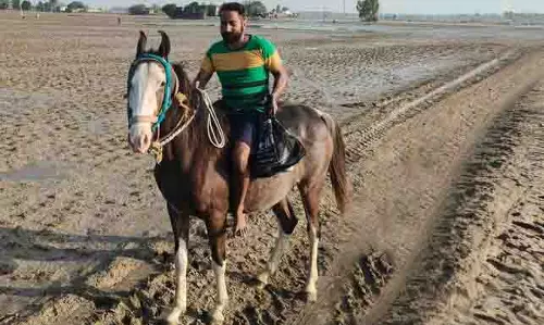Punjab: बाढ़ प्रभावित मांड में सेवा करता हुआ सुंदर घोड़ा