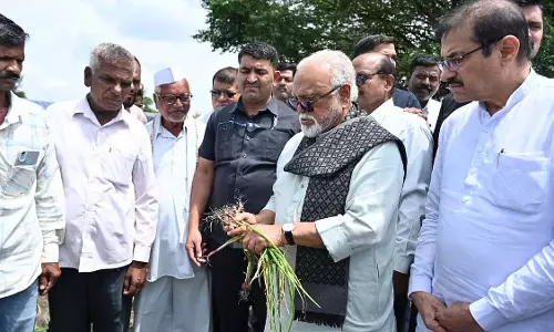 Nashik : किसानों ने बारिश से 2.5 लाख हेक्टेयर फ़सल बर्बाद होने पर तत्काल सहायता की मांग की Nashik : किसानों ने बारिश से 2.5 लाख हेक्टेयर फ़सल बर्बाद होने पर तत्काल सहायता की मांग की