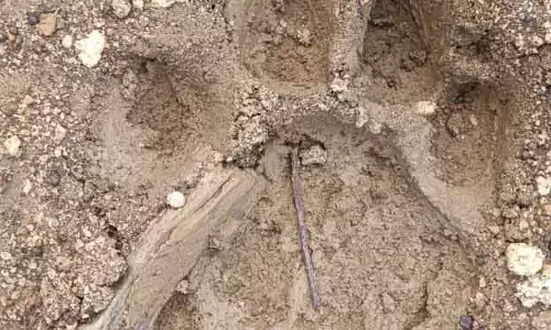 Deogarh पैरों के निशान: अलार्म की तरह चेतावनी