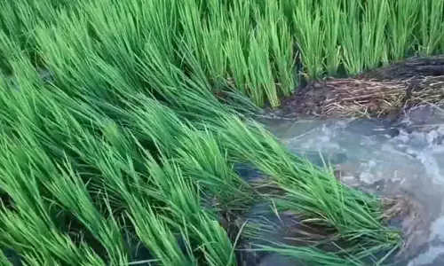 Odisha: बोलंगीर में सुकटेल पाइपलाइन ट्रायल बाधित