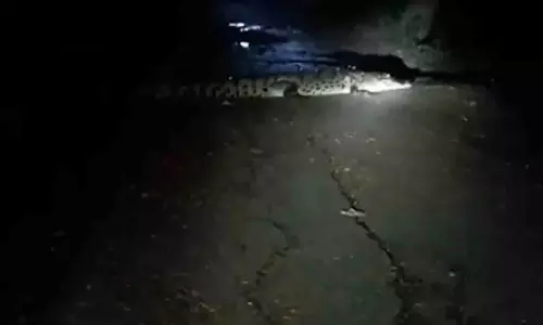 12 फुट लंबे मगरमच्छ का Kendrapara में आतंक, स्थानीय लोग हुए दहशत में 12 फुट लंबे मगरमच्छ का Kendrapara में आतंक, स्थानीय लोग हुए दहशत में