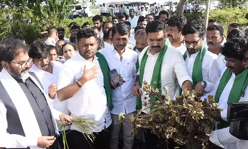 भाजपा दल ने बाढ़ प्रभावित क्षेत्रों का दौरा किया: सूखा घोषित करने की मांग
