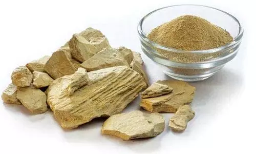 मुल्तानी मिट्टी: एक प्राकृतिक त्वचा देखभाल चमत्कार मुल्तानी मिट्टी: एक प्राकृतिक त्वचा देखभाल चमत्कार