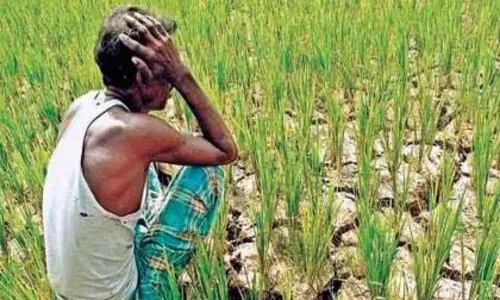चौंकाने वाली सच्चाई: Maharashtra में सबसे ज्यादा किसान आत्महत्याएं