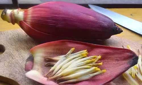 केले का फूल: पोषक तत्वों से भरपूर एक सुपरफूड जिसे आपको नहीं छोड़ना चाहिए!