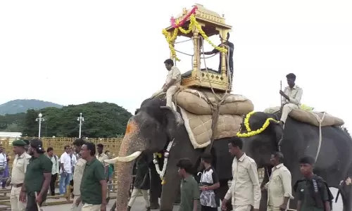 Mysuru 2 अक्टूबर को भव्य जम्बू सावरी के लिए सज-धज तैयार