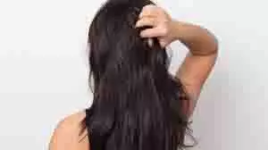 Hair Care: ये हेयर केयर रूटीन आपके बालों को 15 दिनों में घना और मजबूत बना देगा Hair Care: ये हेयर केयर रूटीन आपके बालों को 15 दिनों में घना और मजबूत बना देगा