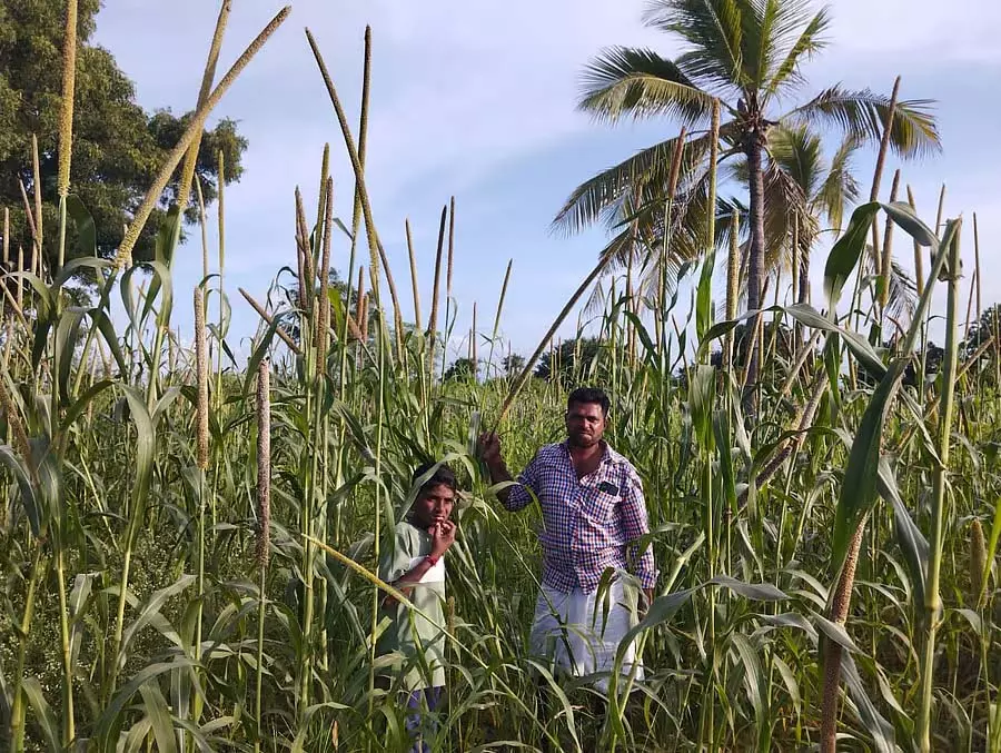 Hattichinnadagani : एक किसान जो तुर्की के ग्रामीण इलाकों में पला-बढ़ा Hattichinnadagani : एक किसान जो तुर्की के ग्रामीण इलाकों में पला-बढ़ा