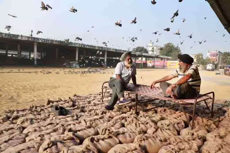 Punjab में 117 लाख मीट्रिक टन चावल आने की उम्मीद, अभी 15 लाख मीट्रिक टन भंडारण उपलब्ध Punjab में 117 लाख मीट्रिक टन चावल आने की उम्मीद, अभी 15 लाख मीट्रिक टन भंडारण उपलब्ध