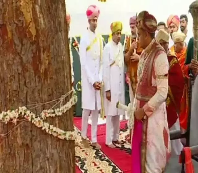 Karnataka : यदुवीर वाडियार द्वारा बन्नी वृक्ष की शमी पूजा Karnataka : यदुवीर वाडियार द्वारा बन्नी वृक्ष की शमी पूजा