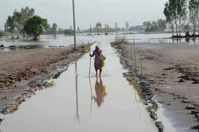 पोषण सर्वप्रथम, PAU-KVK-कपूरथला ने बाढ़ के बाद खाद्य सुरक्षा के लिए अभियान चलाया पोषण सर्वप्रथम, PAU-KVK-कपूरथला ने बाढ़ के बाद खाद्य सुरक्षा के लिए अभियान चलाया