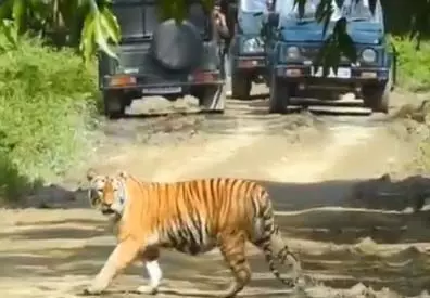 असम में 6,957 करोड़ रुपए की इंफ्रास्ट्रक्चर परियोजना को कैबिनेट की मंजूरी राज्य में इको-टूरिज्म को देगी बढ़ावा : सर्बानंद सोनोवाल असम में 6,957 करोड़ रुपए की इंफ्रास्ट्रक्चर परियोजना को कैबिनेट की मंजूरी राज्य में इको-टूरिज्म को देगी बढ़ावा : सर्बानंद सोनोवाल