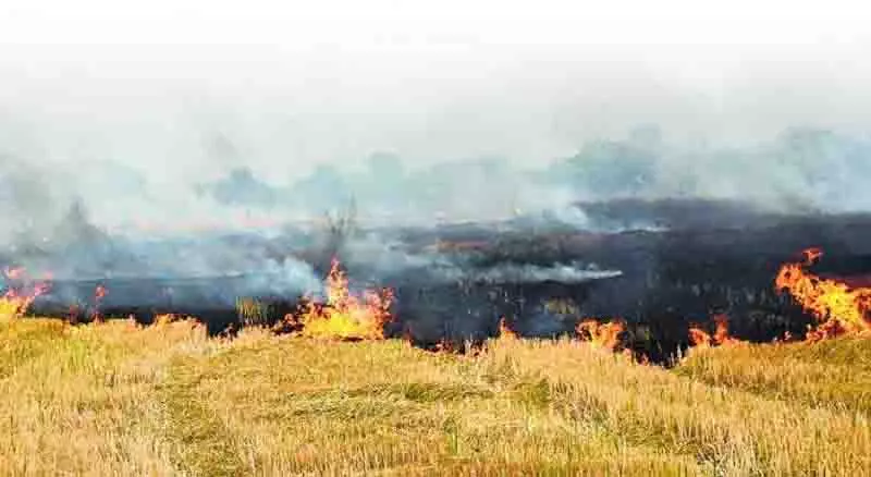 Kaithal village में तनाव, किसानों ने निरीक्षण दल पर किया हमला Kaithal village में तनाव, किसानों ने निरीक्षण दल पर किया हमला