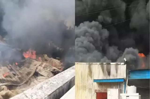 Gurugram: कपड़ों के वेयरहाउस में लगी भीषण आग Gurugram: कपड़ों के वेयरहाउस में लगी भीषण आग