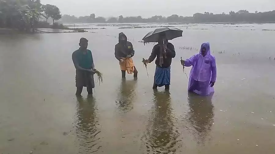 Odisha : तट की ओर गहरा दबाव बढ़ने के कारण आईएमडी ने 7 जिलों के लिए रेड अलर्ट जारी किया Odisha : तट की ओर गहरा दबाव बढ़ने के कारण आईएमडी ने 7 जिलों के लिए रेड अलर्ट जारी किया