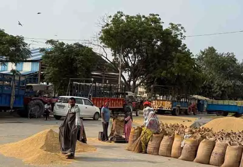 सरकारी प्रतिबंध के बावजूद Karnal अनाज मंडी में मैनुअल तराजू का बोलबाला सरकारी प्रतिबंध के बावजूद Karnal अनाज मंडी में मैनुअल तराजू का बोलबाला